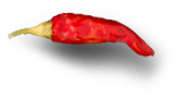 chilli